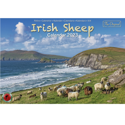 A4 Irish Sheep 2023 Calendar by Liam Blake